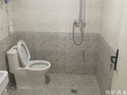 ce65b849adae401697a81c57a17178f6