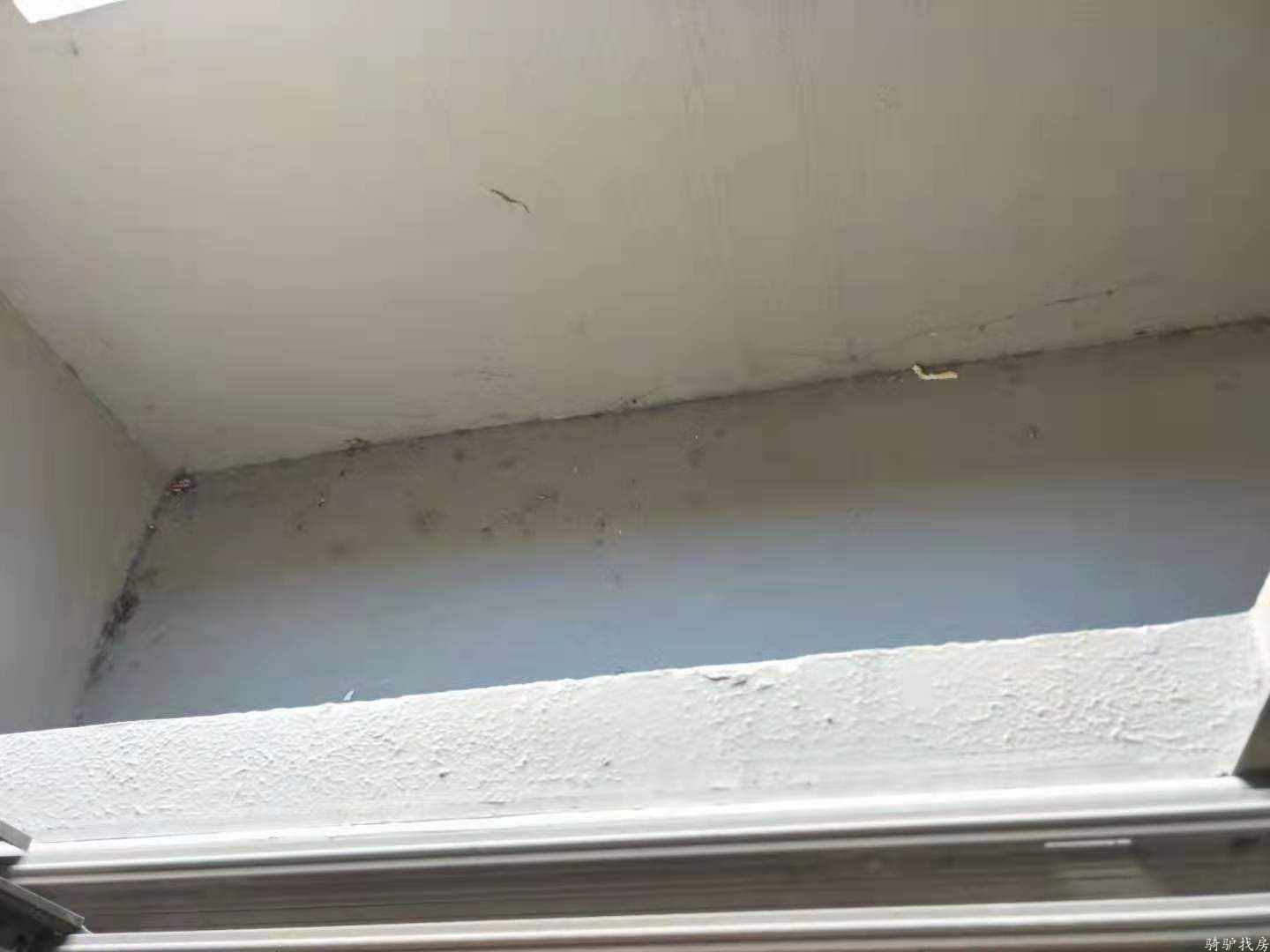 webwxgetmsgimg (3)